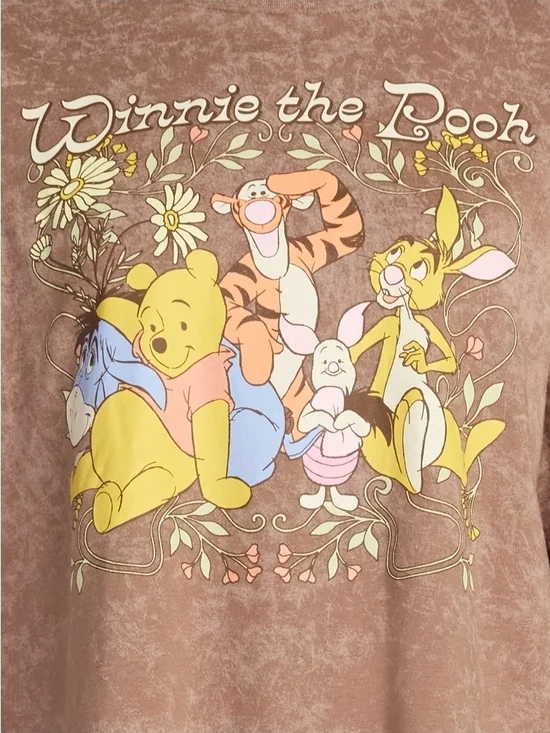 Disney NEW Winnie the Pooh & Friends Brown Acid Wash Graphic Tee Size Small - Picture 2 of 7